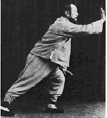wu jian chuan - brush knee twist step